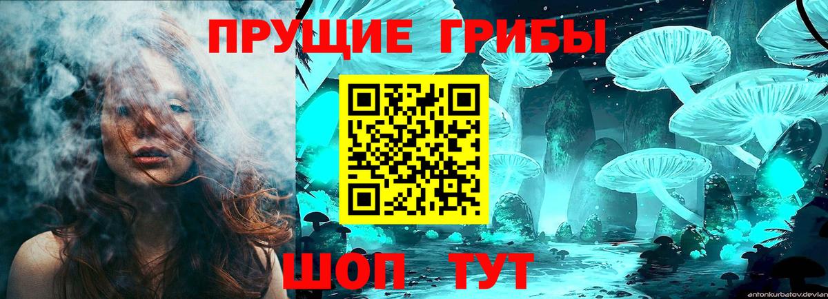 Псилоцибиновые грибы GOLDEN TEACHER  где купить наркоту  Псилоцибиновые грибы мицелий  Майский  Вход с VPN 
