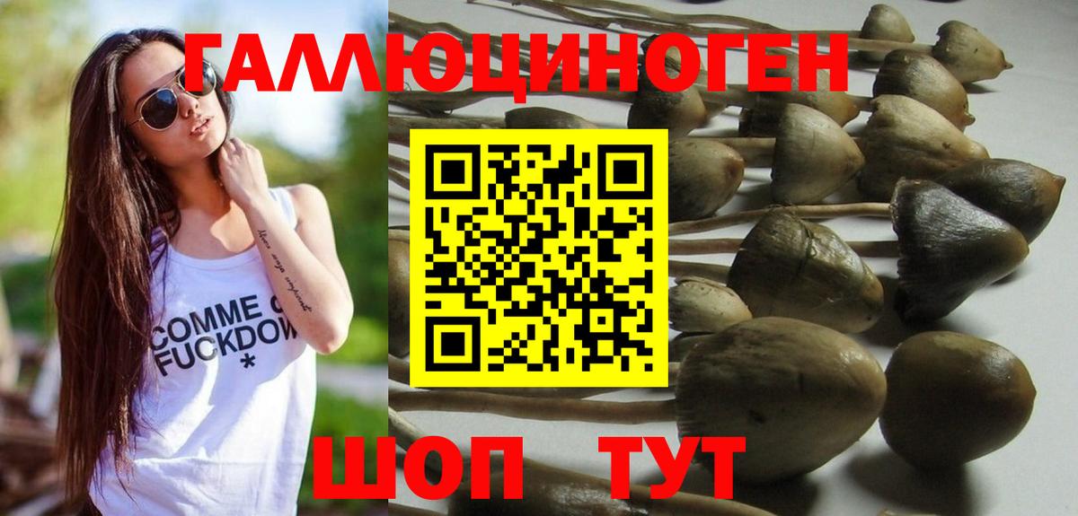 Псилоцибиновые грибы MAGIC MUSHROOMS Майский